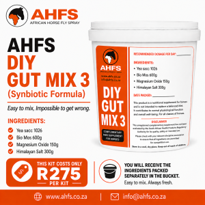 DIY Gut Mix 3 (Synbiotic Formula) - Weekend Special!