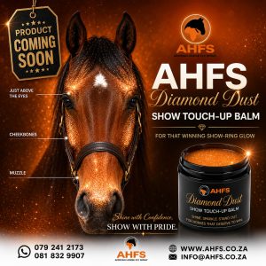 Diamond Dust Sparkle - Show Touch-Up Balm