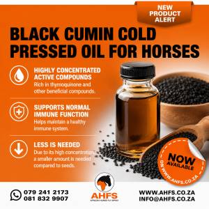 Black Cumin Seed Oil