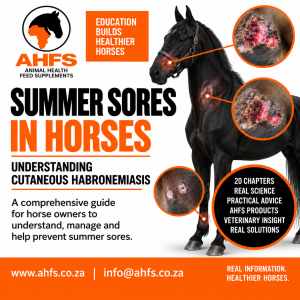 Summer Sores in Horses: Understanding Cutaneous Habronemiasis in South Africa - AHFS Educational Ebook