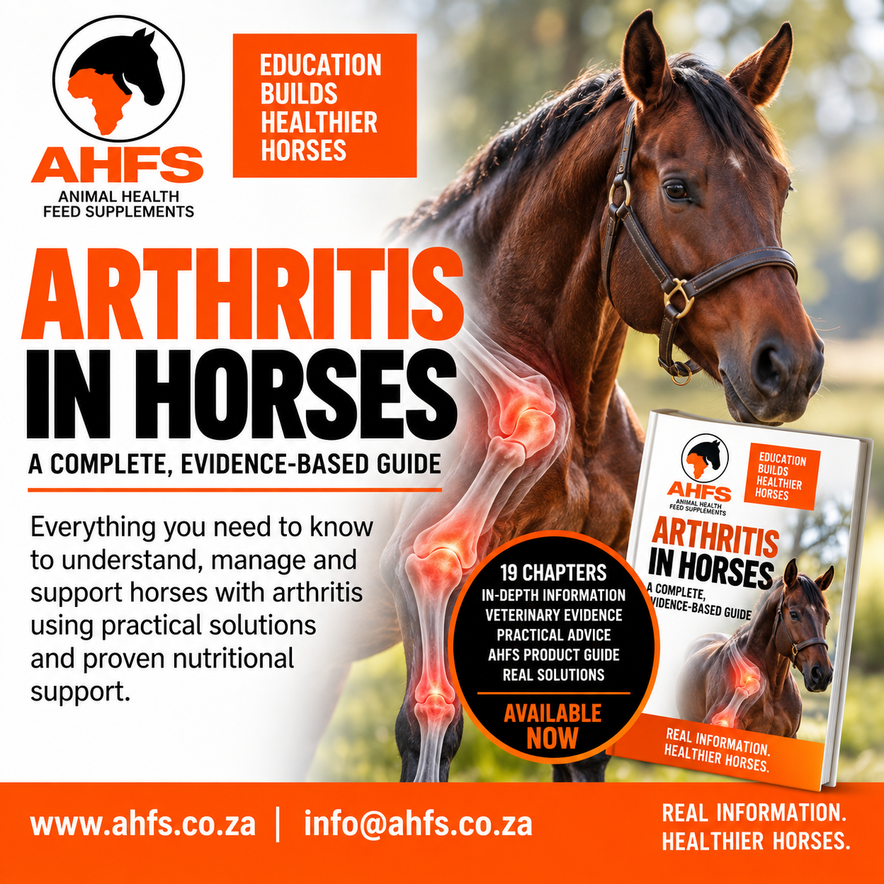 Arthritis in Horses – AHFS Educational eBook