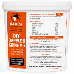 DIY Dapple & Shine Mix