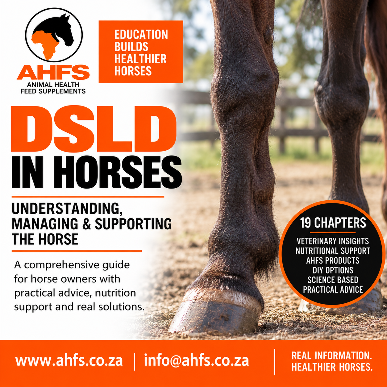 DSLD in Horses – The Complete Guide to Understanding, Managing & Supporting Your Horse – AHFS Educational eBook